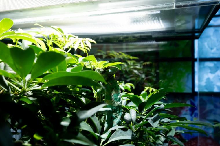 水や森とアートが融合！五感で巡る「広島もとまち水族館」の楽しみ方ガイド