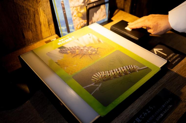 水や森とアートが融合！五感で巡る「広島もとまち水族館」の楽しみ方ガイド
