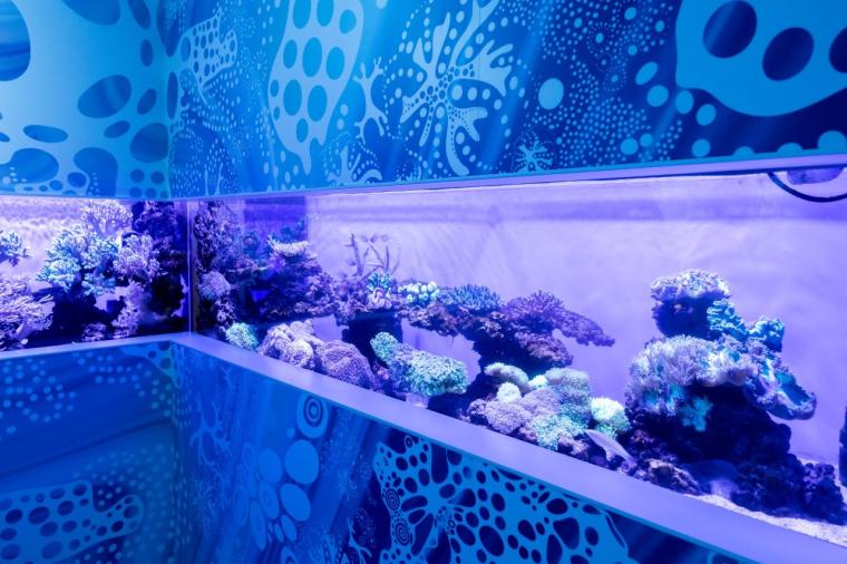 水や森とアートが融合！五感で巡る「広島もとまち水族館」の楽しみ方ガイド