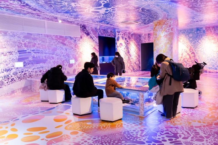 水や森とアートが融合！五感で巡る「広島もとまち水族館」の楽しみ方ガイド