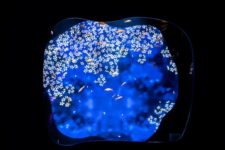 水や森とアートが融合！五感で巡る「広島もとまち水族館」の楽しみ方ガイド