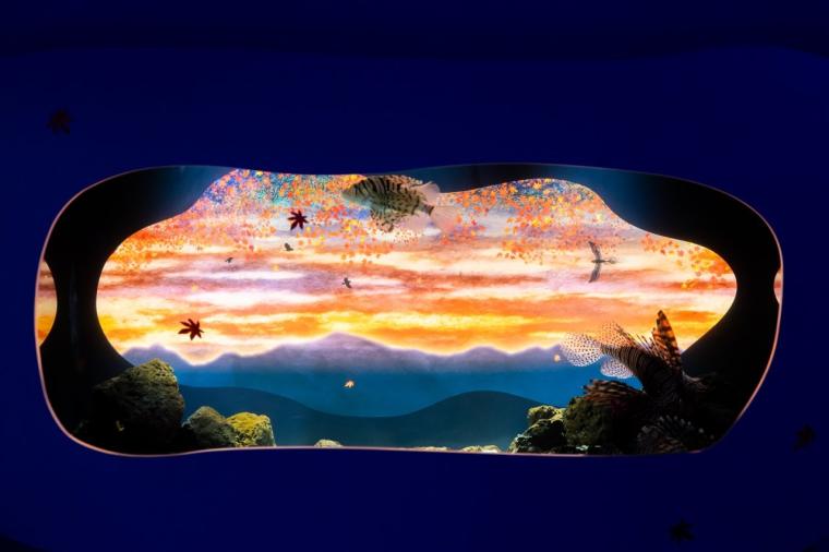 水や森とアートが融合！五感で巡る「広島もとまち水族館」の楽しみ方ガイド