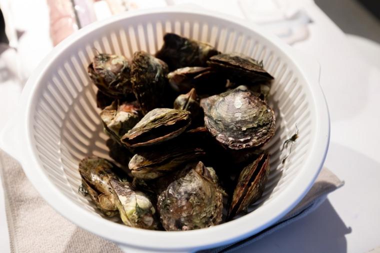 水や森とアートが融合！五感で巡る「広島もとまち水族館」の楽しみ方ガイド