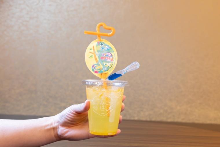 水や森とアートが融合！五感で巡る「広島もとまち水族館」の楽しみ方ガイド