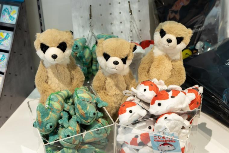 水や森とアートが融合！五感で巡る「広島もとまち水族館」の楽しみ方ガイド