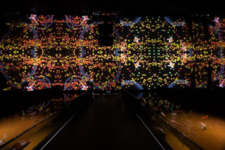 水や森とアートが融合！五感で巡る「広島もとまち水族館」の楽しみ方ガイド