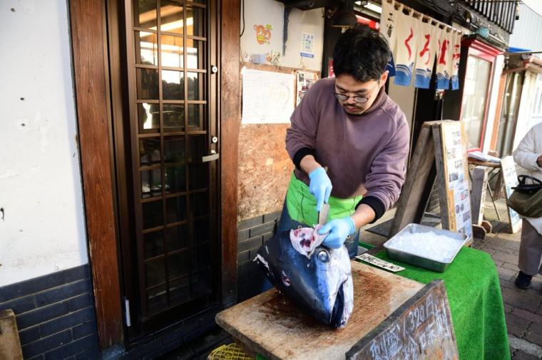 インクルーシブ旅が好きなあなたに！京急「みさきまぐろきっぷ」で楽しむ湘南の休日