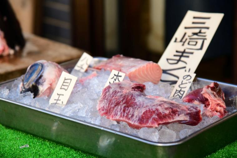 インクルーシブ旅が好きなあなたに！京急「みさきまぐろきっぷ」で楽しむ湘南の休日