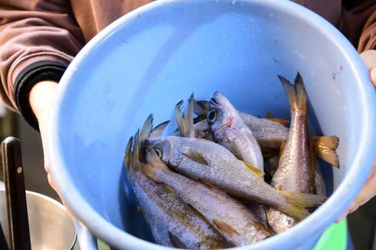 インクルーシブ旅が好きなあなたに！京急「みさきまぐろきっぷ」で楽しむ湘南の休日