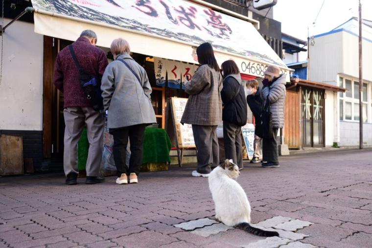 インクルーシブ旅が好きなあなたに！京急「みさきまぐろきっぷ」で楽しむ湘南の休日