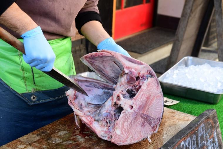 インクルーシブ旅が好きなあなたに！京急「みさきまぐろきっぷ」で楽しむ湘南の休日