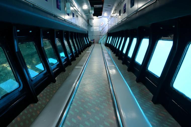 インクルーシブ旅が好きなあなたに！京急「みさきまぐろきっぷ」で楽しむ湘南の休日