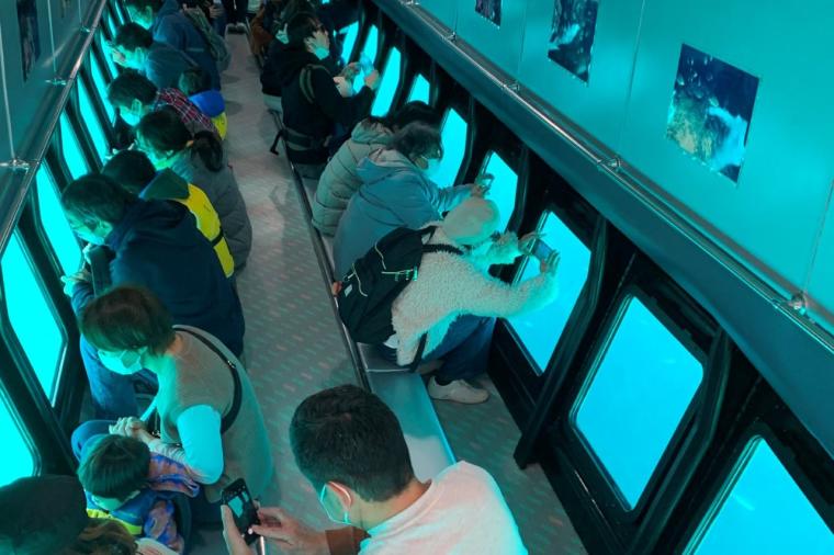 インクルーシブ旅が好きなあなたに！京急「みさきまぐろきっぷ」で楽しむ湘南の休日