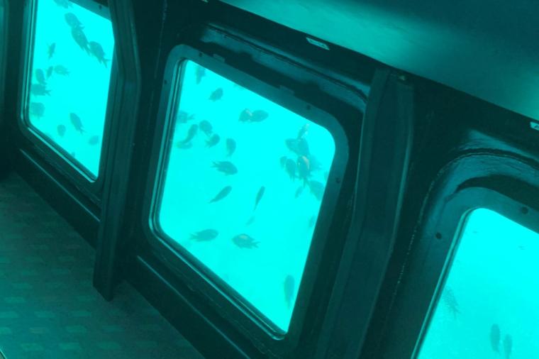 インクルーシブ旅が好きなあなたに！京急「みさきまぐろきっぷ」で楽しむ湘南の休日