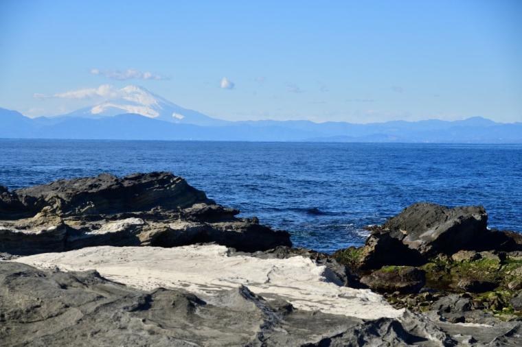 インクルーシブ旅が好きなあなたに！京急「みさきまぐろきっぷ」で楽しむ湘南の休日