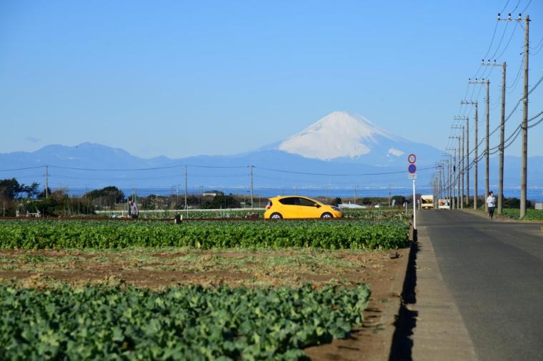 インクルーシブ旅が好きなあなたに！京急「みさきまぐろきっぷ」で楽しむ湘南の休日
