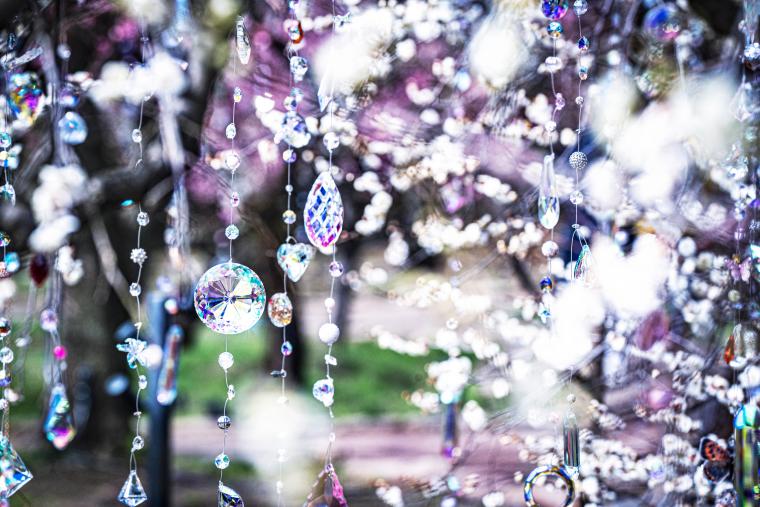 「KYOTO NIPPON FESTIVAL」《光と花の庭》2