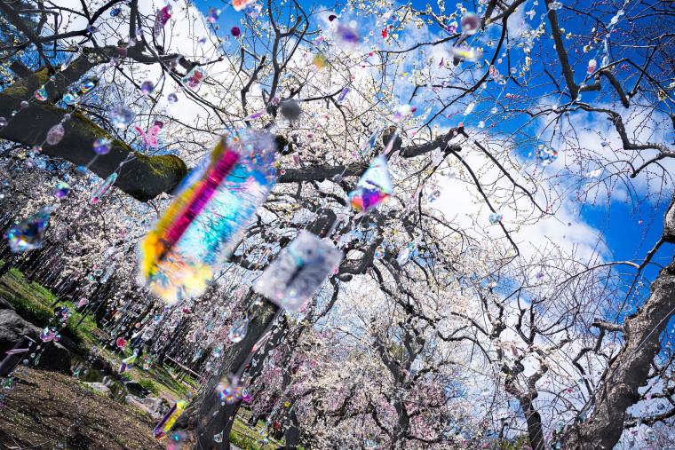 「KYOTO NIPPON FESTIVAL」《光と花の庭》4