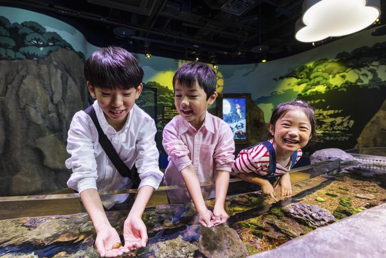 「名古屋シーライフ水族館」館内3