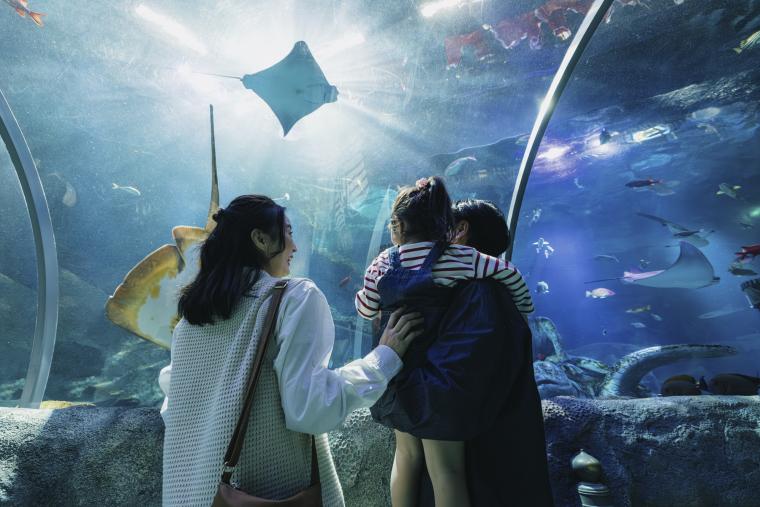 「名古屋シーライフ水族館」館内2
