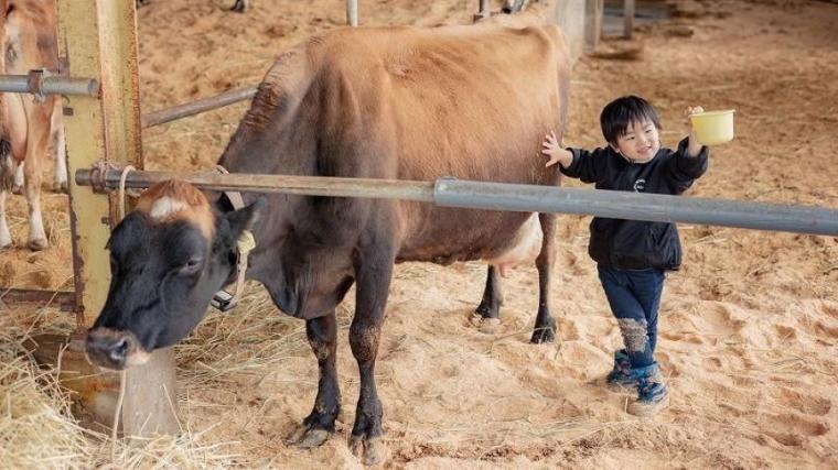 真冬でも動物たちとふれあえる！北海道・美瑛の「超レア」な牧場を獣医師ママライターが解説
