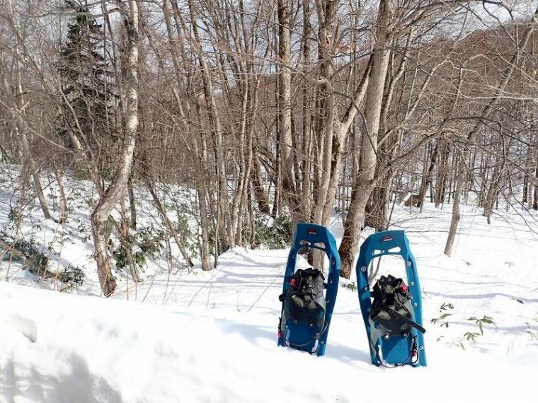 シマエナガに会えるかも！冬の森で大活躍するアイテムとは 森で働くスタッフが解説