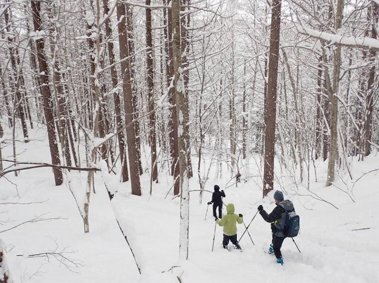 シマエナガに会えるかも！冬の森で大活躍するアイテムとは 森で働くスタッフが解説