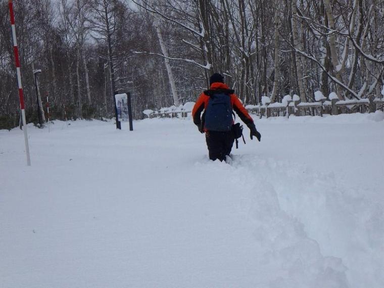 シマエナガに会えるかも！冬の森で大活躍するアイテムとは 森で働くスタッフが解説