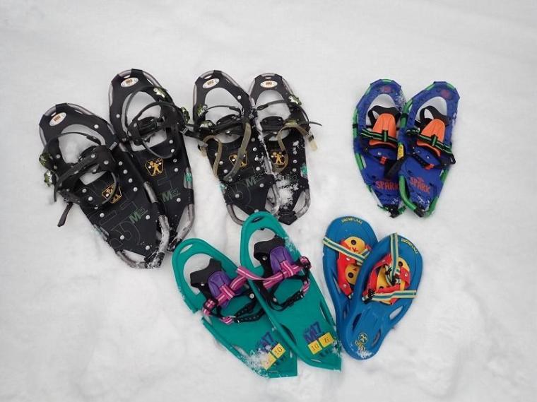 シマエナガに会えるかも！冬の森で大活躍するアイテムとは 森で働くスタッフが解説