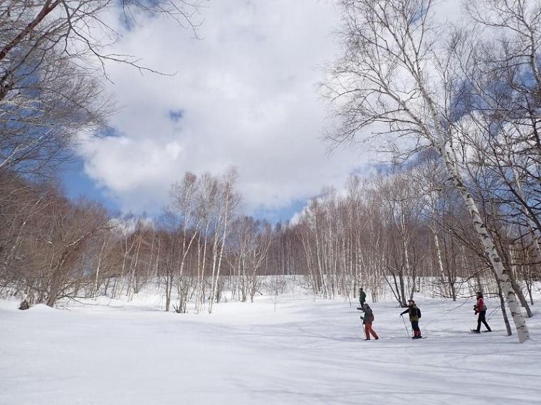 シマエナガに会えるかも！冬の森で大活躍するアイテムとは 森で働くスタッフが解説