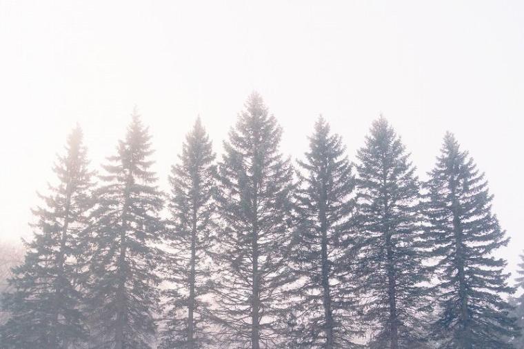 「見るもの全てを非日常の景色に」霧の魔法にかかった真っ白な十勝平野【北海道の絶景・写真 11 枚】