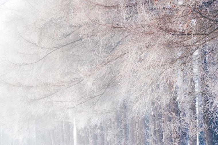 「見るもの全てを非日常の景色に」霧の魔法にかかった真っ白な十勝平野【北海道の絶景・写真 11 枚】