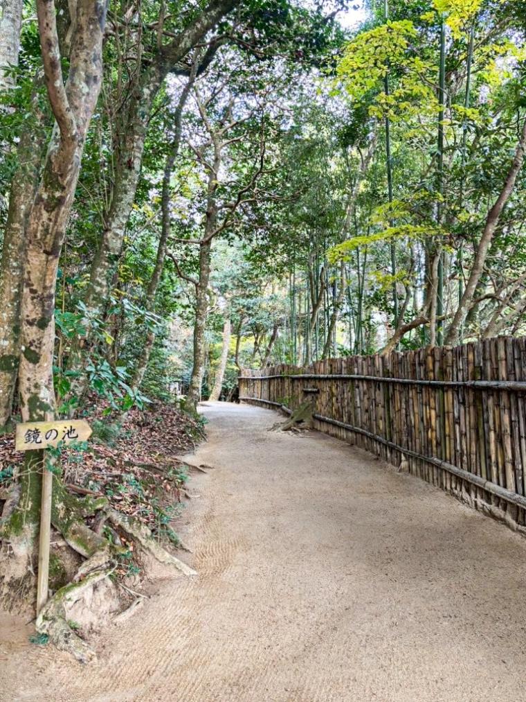 島根が舞台、朝ドラ「ばけばけ」に登場した占いのできる池。縁結びで有名な八重垣神社