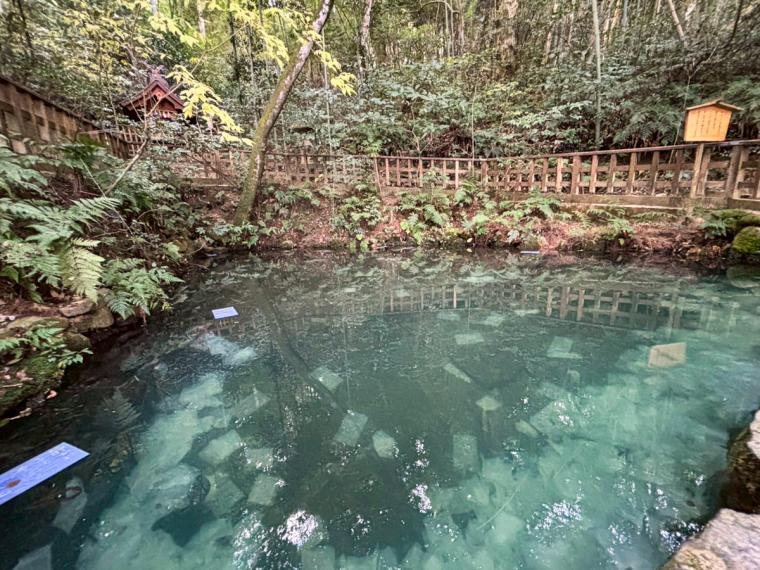 島根が舞台、朝ドラ「ばけばけ」に登場した占いのできる池。縁結びで有名な八重垣神社