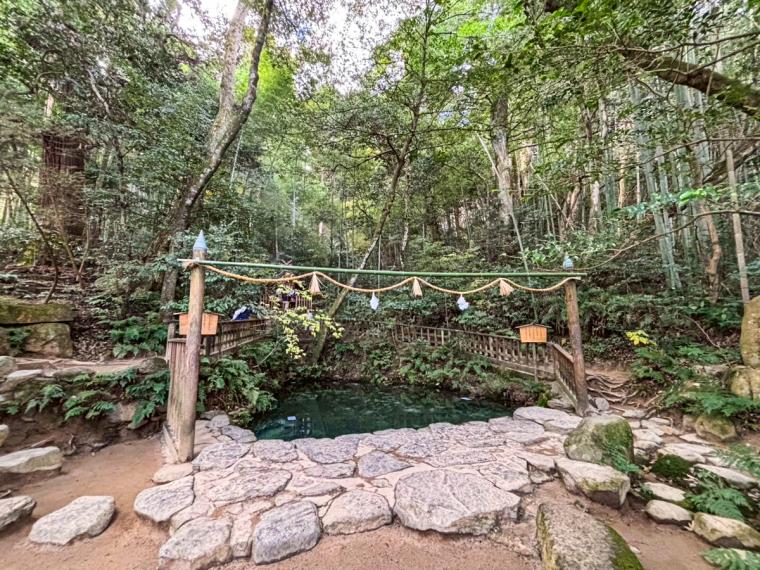 島根が舞台、朝ドラ「ばけばけ」に登場した占いのできる池。縁結びで有名な八重垣神社