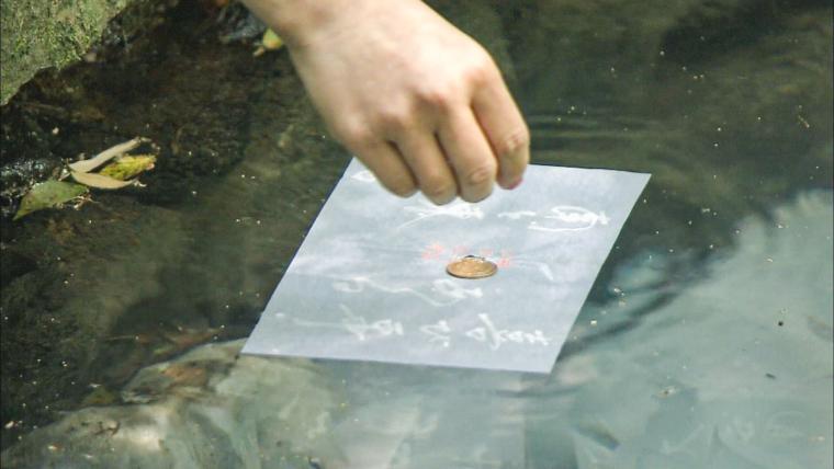 島根が舞台、朝ドラ「ばけばけ」に登場した占いのできる池。縁結びで有名な八重垣神社