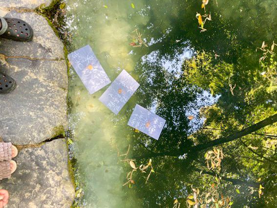 島根が舞台、朝ドラ「ばけばけ」に登場した占いのできる池。縁結びで有名な八重垣神社