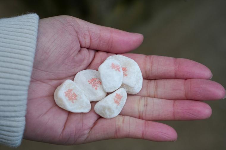 2026 年運気 UP！縁起の良い神社やパワースポットを巡る鳥取旅