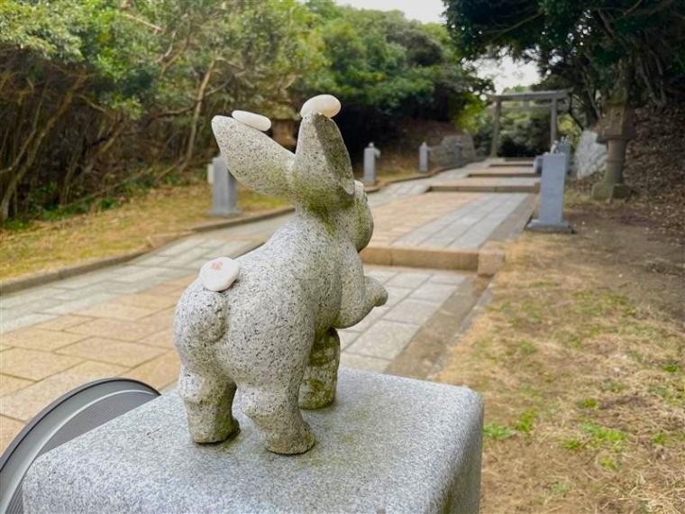 2026 年運気 UP！縁起の良い神社やパワースポットを巡る鳥取旅