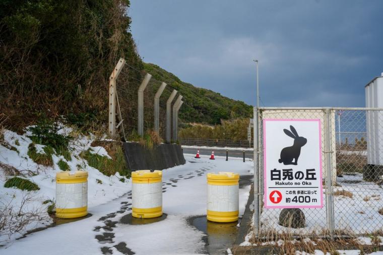 2026 年運気 UP！縁起の良い神社やパワースポットを巡る鳥取旅