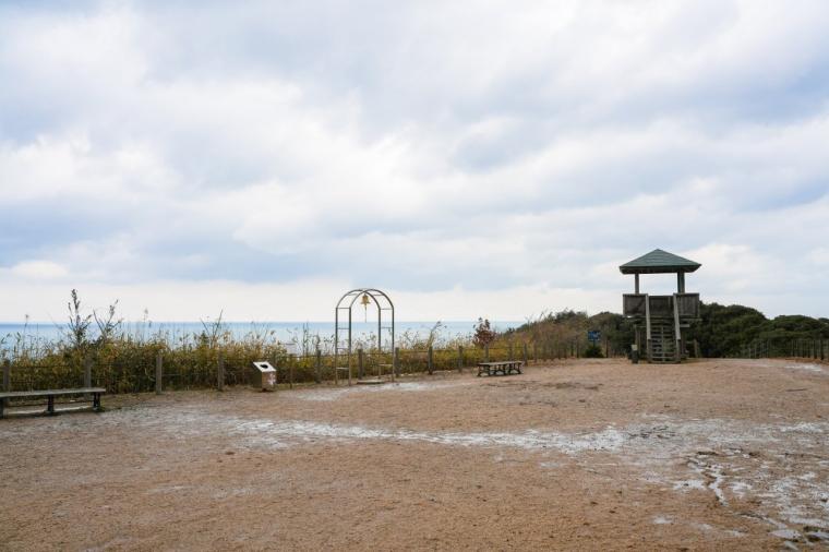 2026 年運気 UP！縁起の良い神社やパワースポットを巡る鳥取旅