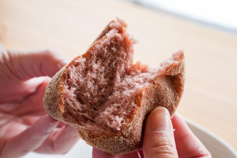 2026 年運気 UP！縁起の良い神社やパワースポットを巡る鳥取旅