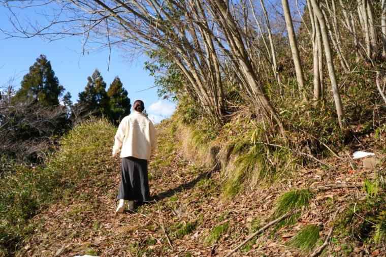 2026 年運気 UP！縁起の良い神社やパワースポットを巡る鳥取旅