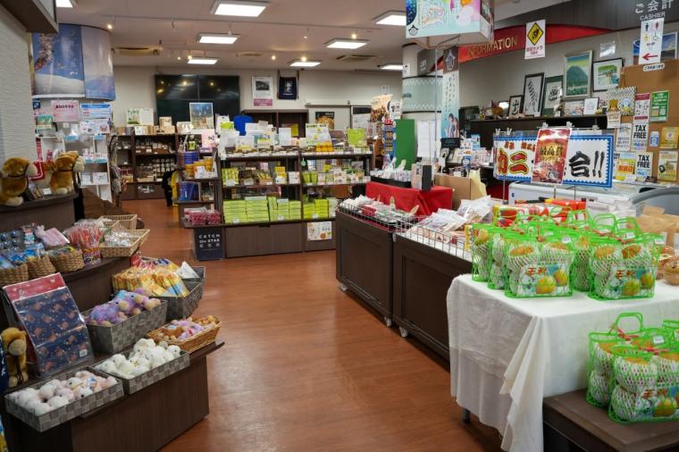 2026 年運気 UP！縁起の良い神社やパワースポットを巡る鳥取旅