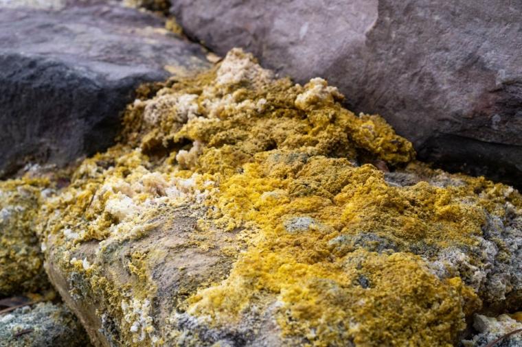 地獄温泉 青風荘.