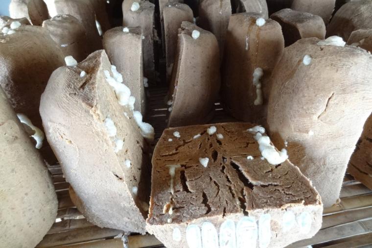 【⻑野・松本〜安曇野】味噌蔵巡り×発酵の街を歩く“発酵カルチャー旅” 