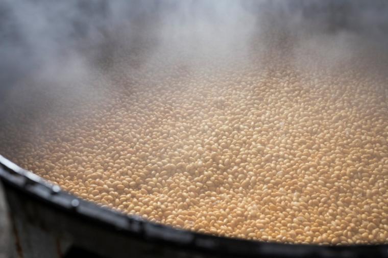 【⻑野・松本〜安曇野】味噌蔵巡り×発酵の街を歩く“発酵カルチャー旅” 