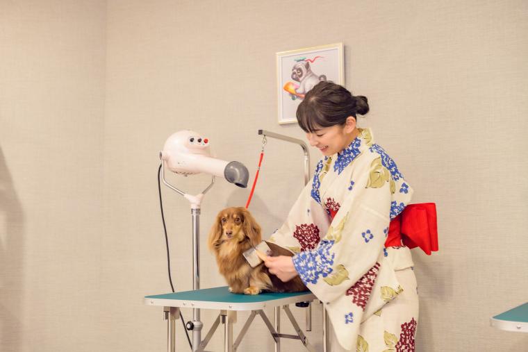 「大江戸温泉物語わんわんリゾート 那須塩原」グルーミング