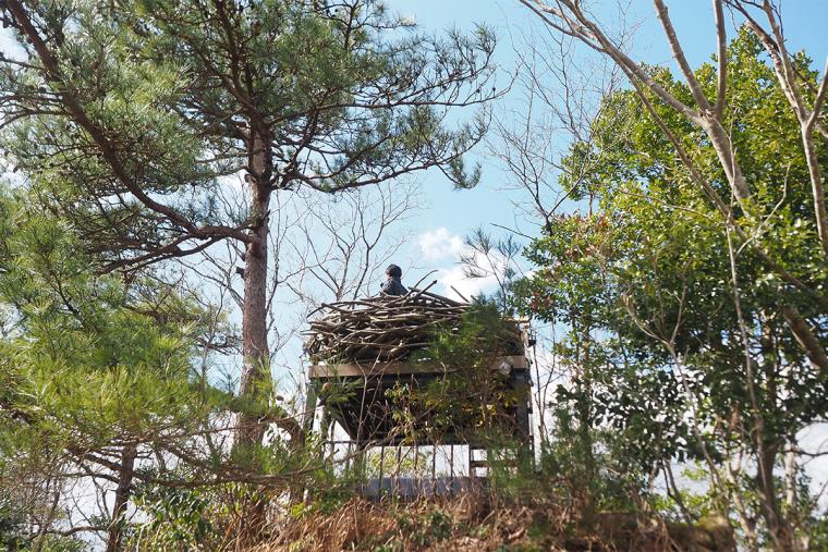 洞窟風呂の宿 百楽荘