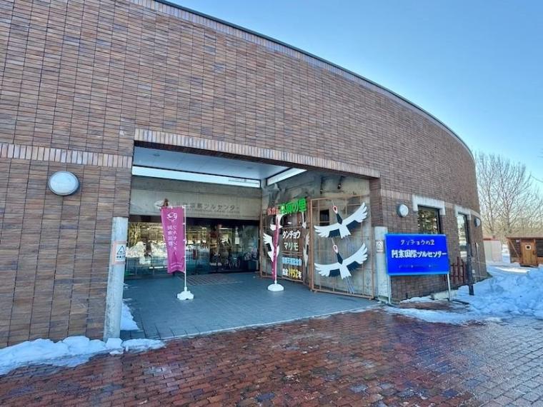 「思わず息をのむ美しさ」ワンコイン以下で特別天然記念物に会える！「阿寒丹頂の里」